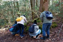樹海ネイチャーツアー