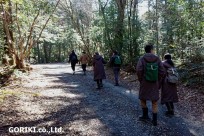 樹海ネイチャーツアー