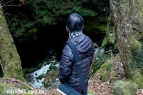 樹海ネイチャーツアー