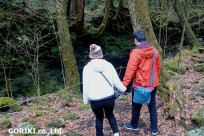 樹海ネイチャーツアー