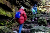 樹海ネイチャーツアー