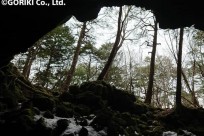 星のや富士様「ディスカバー樹海ツアー」