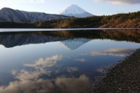 樹海ネイチャーツアー