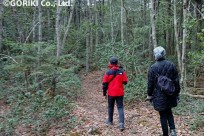 星のや富士様「ディスカバー樹海ツアー」