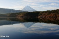 樹海ネイチャーツアー