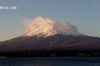樹海ネイチャーツアー