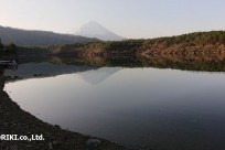 樹海ネイチャーツアー