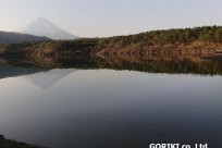 樹海ネイチャーツアー