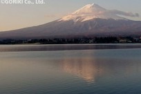 樹海ネイチャーツアー