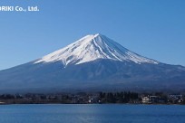 樹海ネイチャーツアー