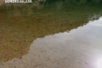 樹海ネイチャーツアー