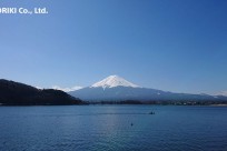 樹海ネイチャーツアー