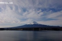 樹海ネイチャーツアー