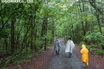 樹海ネイチャーツアー