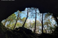 樹海ネイチャーツアー