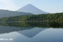 樹海ネイチャーツアー