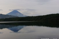 樹海ネイチャーツアー