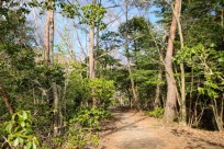 星のや富士様新企画アドバイザー業務