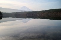樹海ネイチャーツアー