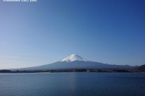 樹海ネイチャーツアー