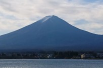 樹海ネイチャーツアー