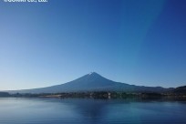 樹海ネイチャーツアー