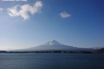 樹海ネイチャーツアー