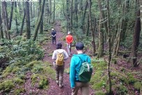 樹海ネイチャーツアー