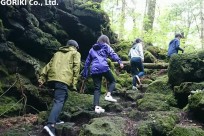 樹海ネイチャーツアー