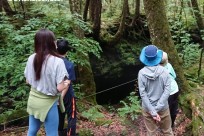 樹海ネイチャーツアー