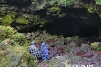 樹海ネイチャーツアー