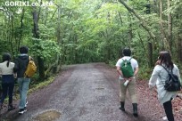 樹海ネイチャーツアー