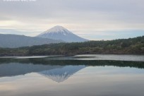 樹海ネイチャーツアー