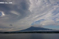 樹海ネイチャーツアー