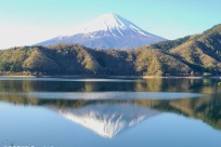 樹海ネイチャーツアー