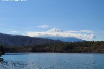 樹海ネイチャーツアー