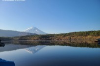 樹海ネイチャーツアー