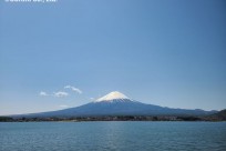 樹海ネイチャーツアー（取材対応）