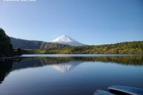 樹海ネイチャーツアー