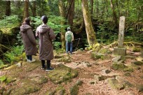 樹海ネイチャーツアー