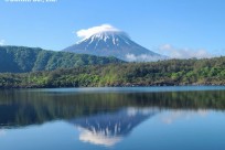 樹海ネイチャーツアー