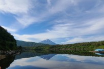 樹海ネイチャーツアー