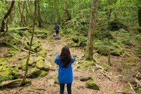 プライベートツアー