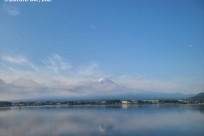樹海ネイチャーツアー