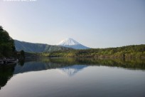 樹海ネイチャーツアー