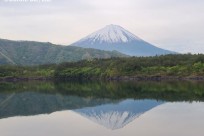 樹海ネイチャーツアー