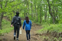 プライベートツアー