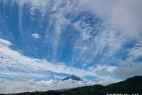 樹海ネイチャーツアー