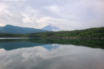 樹海ネイチャーツアー