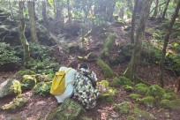 樹海ネイチャーツアー